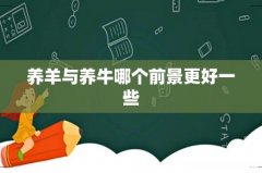 养羊与养牛哪个前景更好一些