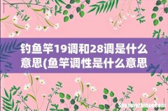 鱼竿调性是什么意思，19调好还是28调好 钓鱼竿19调和28调是什么意思