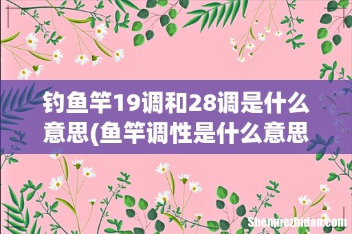 鱼竿调性是什么意思，19调好还是28调好 钓鱼竿19调和28调是什么意思