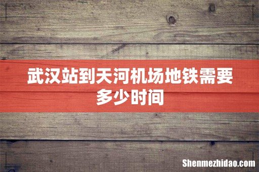 武汉站到天河机场地铁需要多少时间
