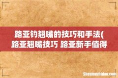 路亚翘嘴技巧 路亚新手值得一看！ 路亚钓翘嘴的技巧和手法