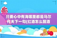 红酒怎么醒酒 只要心中有海哪里都是马尔代夫下一句