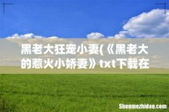 《黑老大的惹火小娇妻》txt下载在线阅读全文，求百度网盘云资源 黑老大狂宠小妻