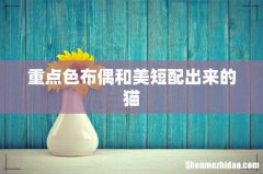重点色布偶和美短配出来的猫
