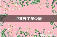 卢琴开了多少房