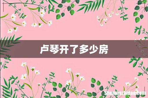 卢琴开了多少房