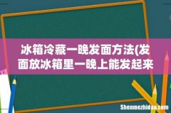 发面放冰箱里一晚上能发起来吗 冰箱冷藏一晚发面方法