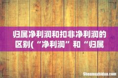 “净利润”和“归属于股东净利润”有什么区别 归属净利润和扣非净利润的区别