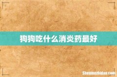 狗狗吃什么消炎药最好