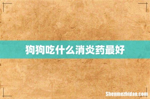 狗狗吃什么消炎药最好