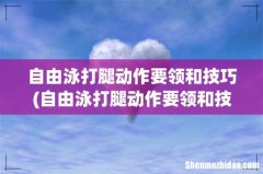 自由泳打腿动作要领和技巧 自由泳打腿动作要领和技巧