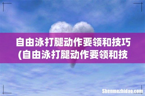 自由泳打腿动作要领和技巧 自由泳打腿动作要领和技巧