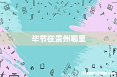 毕节在贵州哪里