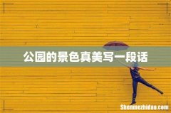 公园的景色真美写一段话