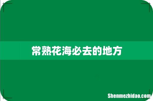 常熟花海必去的地方