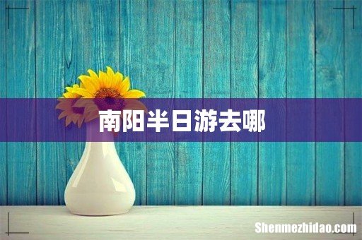 南阳半日游去哪