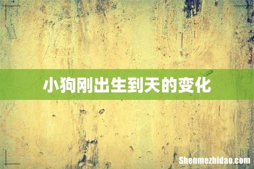 小狗刚出生到天的变化