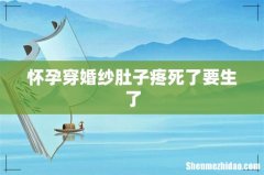 怀孕穿婚纱肚子疼死了要生了