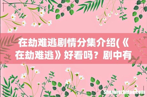 《在劫难逃》好看吗？剧中有哪些令人称叹的细节？ 在劫难逃剧情分集介绍