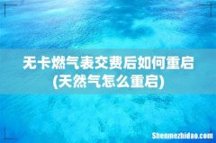 天然气怎么重启 无卡燃气表交费后如何重启