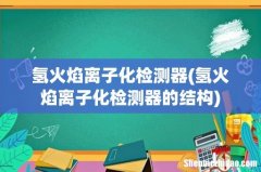 氢火焰离子化检测器的结构 氢火焰离子化检测器
