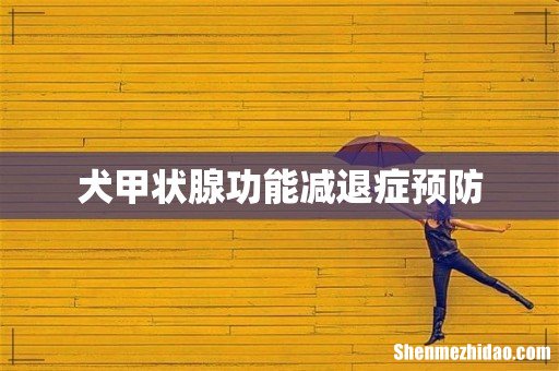 犬甲状腺功能减退症预防