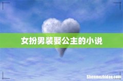 女扮男装娶公主的小说