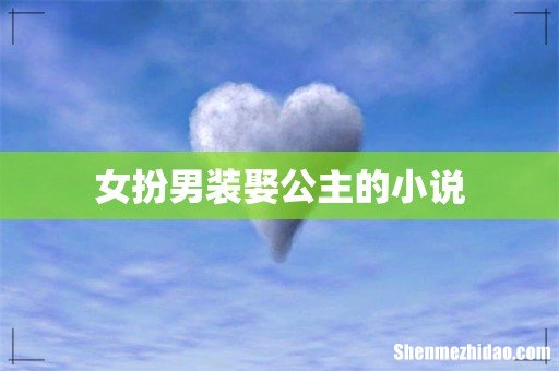 女扮男装娶公主的小说