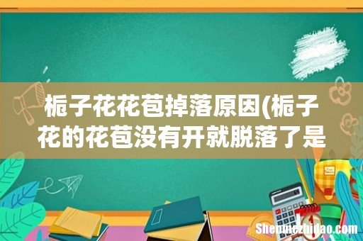 栀子花的花苞没有开就脱落了是怎么回事 栀子花花苞掉落原因