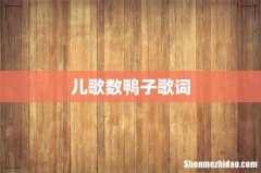 儿歌数鸭子歌词