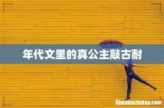 年代文里的真公主敲古耐