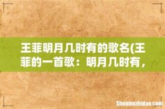 王菲的一首歌：明月几时有，把酒问青天…歌名叫什么？ 王菲明月几时有的歌名