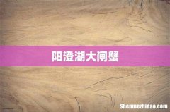 阳澄湖大闸蟹