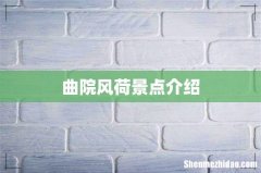 曲院风荷景点介绍