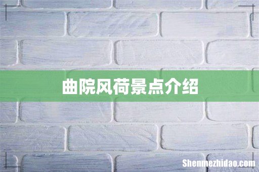 曲院风荷景点介绍