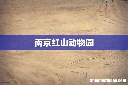 南京红山动物园
