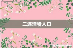 二连浩特人口