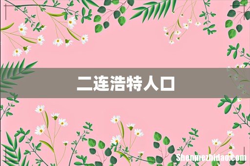 二连浩特人口