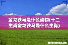 十二生肖金戈铁马是什么生肖 金戈铁马是什么动物