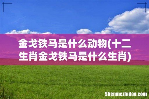 十二生肖金戈铁马是什么生肖 金戈铁马是什么动物
