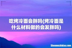 烤冷面是什么材料做的会发胖吗 吃烤冷面会胖吗