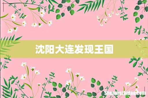 沈阳大连发现王国