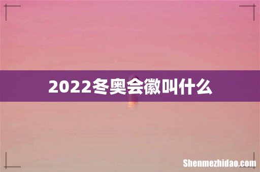 2022冬奥会徽叫什么