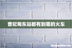 曹妃甸东站都有到哪的火车