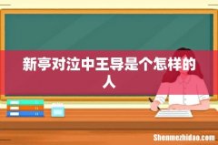 新亭对泣中王导是个怎样的人