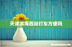 天津滨海西站打车方便吗
