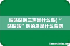 “咕咕咕”叫的鸟是什么鸟啊？ 咕咕咕叫三声是什么鸟