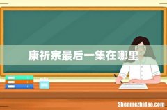康祈宗最后一集在哪里