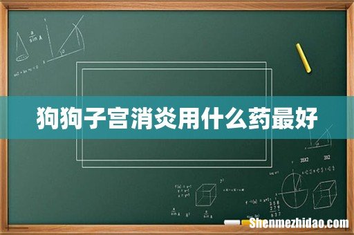 狗狗子宫消炎用什么药最好