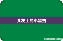 头发上的小黑虫